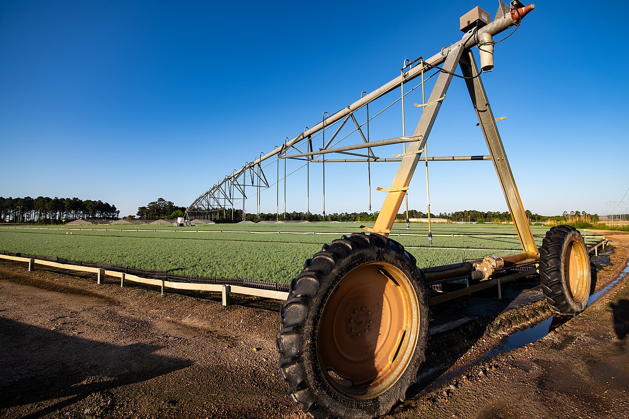 _Taylor_Farms