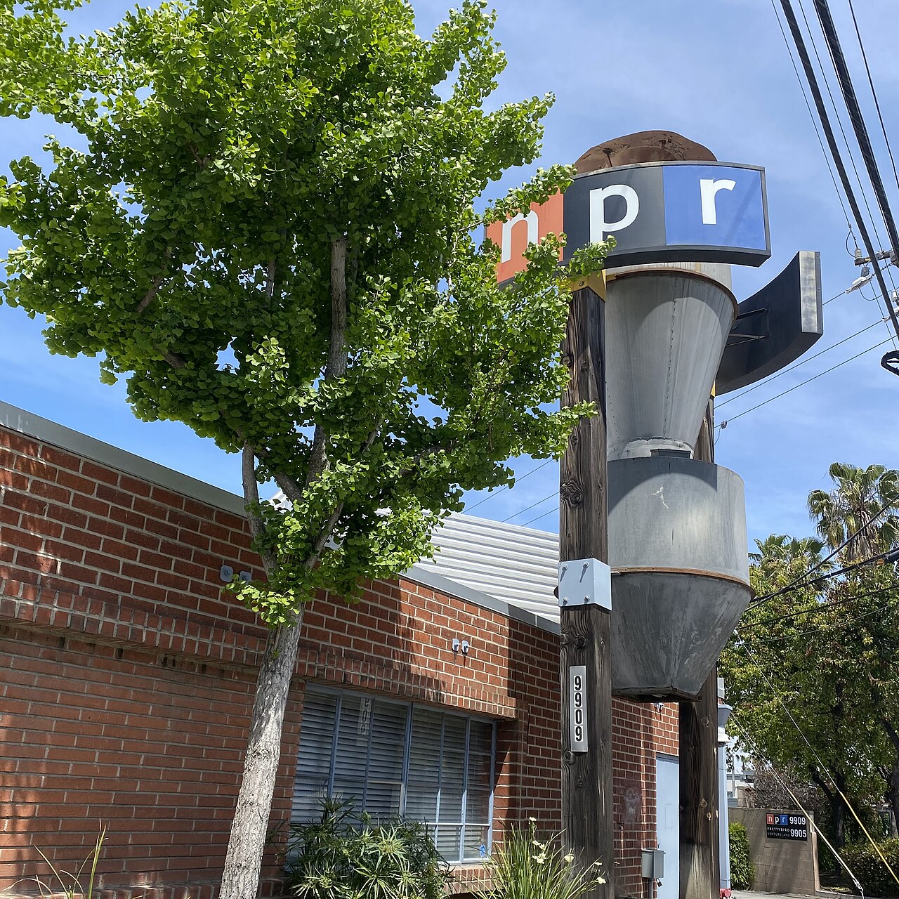 NPR