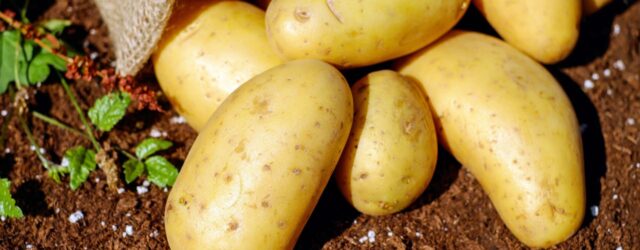 Potatoes