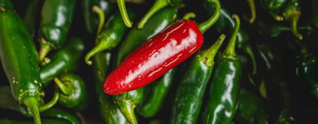 Jalapeño