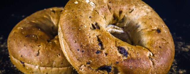 bagel