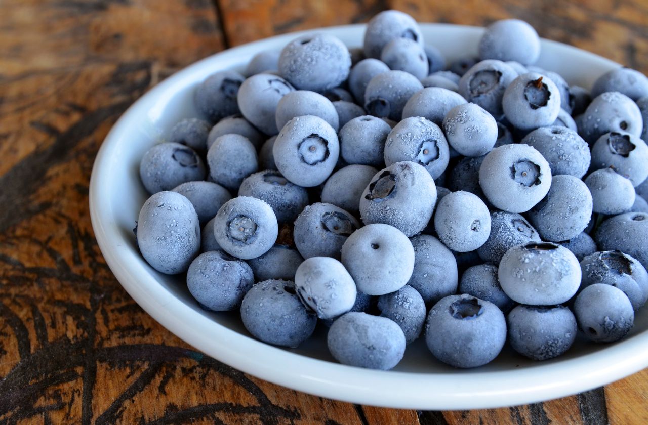 frozen blueberry
