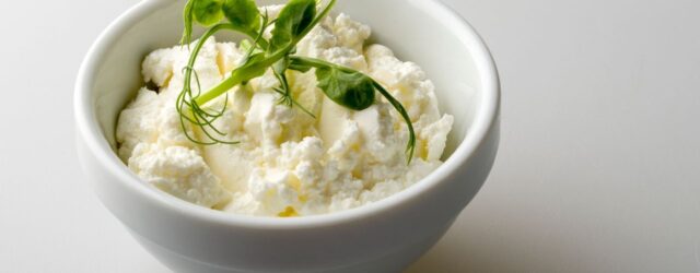 cottage cheese